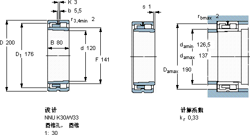 SKFNNU 4124 K30M/W33軸承圖紙