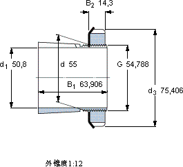SKFSNW 111x2軸承圖紙