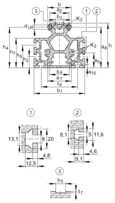INA導(dǎo)軌 LFS25-M, 中空截面輪廓，帶安裝槽，帶兩根軌道軸；可提供耐腐蝕設(shè)計(jì)