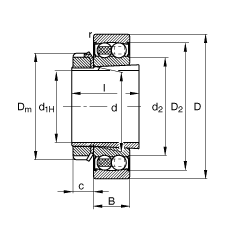 FAG自調(diào)心球軸承 2209-K-2RS-TVH-C3 + H309, 根據(jù) DIN 630 和 DIN 5415 標(biāo)準(zhǔn)的主要尺寸, 帶錐孔和緊定套，兩側(cè)唇密封