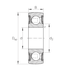 INA外球面球軸承 210-NPP-B, 球面外圈，內(nèi)圈緊配合，兩側(cè) R 型密封